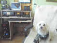 /album/my-ham-shack/sam-0789-jpg/
